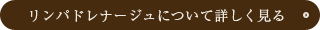 リンパドレナージュについて詳しく見る